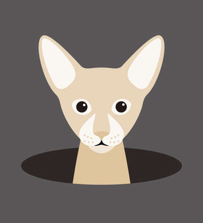 cute cat on the hole, watching, vector illustrationのイラスト素材