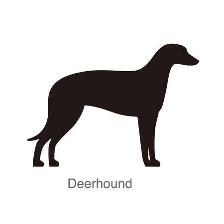 Deerhound dog on the hole, watching, vector illustrationのイラスト素材