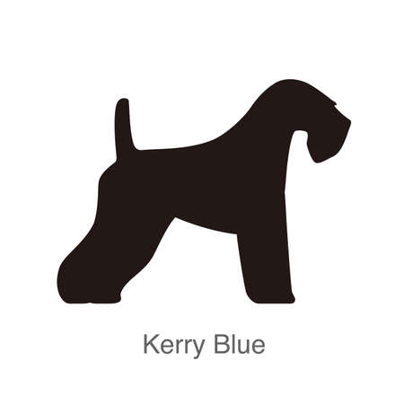Beauceron spaniel dog on the hole, watching, vector illustrationのイラスト素材