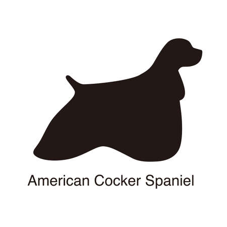 American cocker spaniel dog on the hole, watching, vector illustrationのイラスト素材