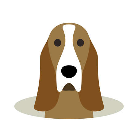 Basset Hound dog come out of the hole, watching vector illustrationのイラスト素材