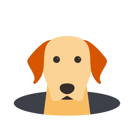 Golden Retriever come out of the hole, watching vector illustrationのイラスト素材