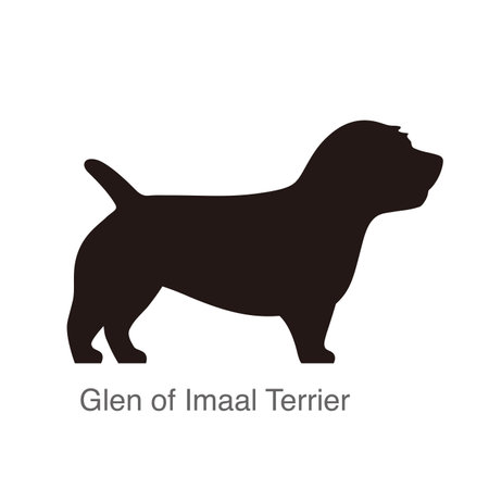 Glen of imaal terrier dog on the hole, watching, vector illustrationのイラスト素材