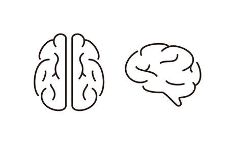 Human organ brain flat icon, vector illustrationのイラスト素材