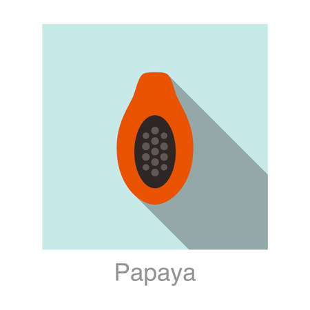Papaya fruit flat icon, vector illustrationのイラスト素材