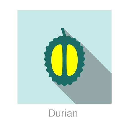 Durian fruit flat icon, vector illustrationのイラスト素材