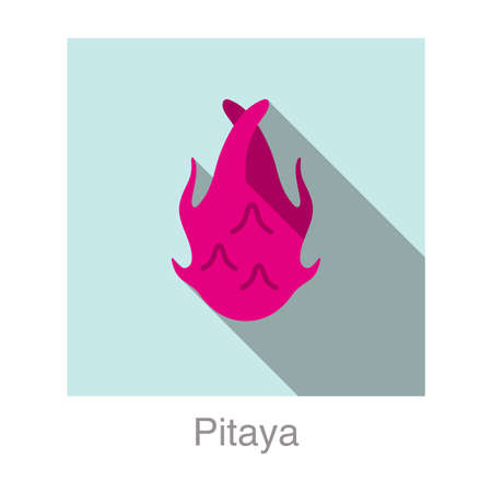 Pitaya fruit flat icon, vector illustrationのイラスト素材
