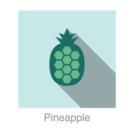 Pineapple fruit flat icon, vector illustrationのイラスト素材