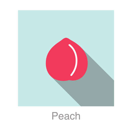 Peach fruit flat icon, vector illustrationのイラスト素材