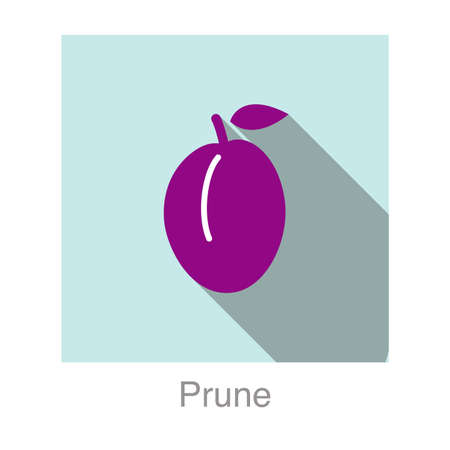 Prune fruit flat icon, vector illustrationのイラスト素材