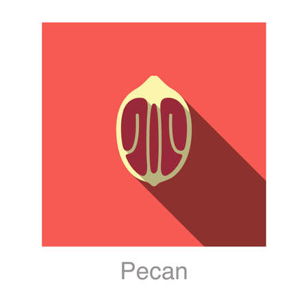 Pecan flat icon, vector illustrationのイラスト素材