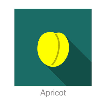 Cherry fruit flat icon, vector illustrationのイラスト素材