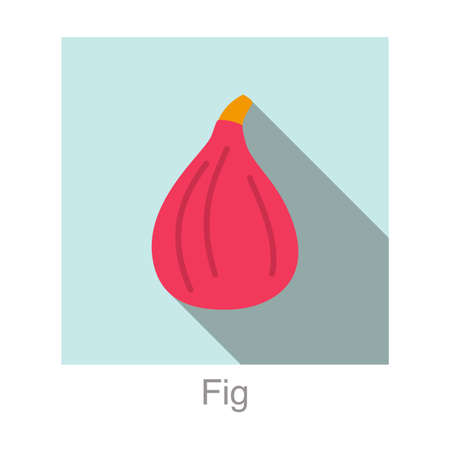 Fig fruit flat icon, vector illustrationのイラスト素材