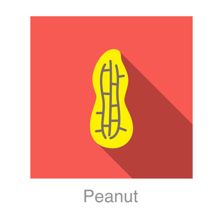 Peanut flat icon, vector illustrationのイラスト素材