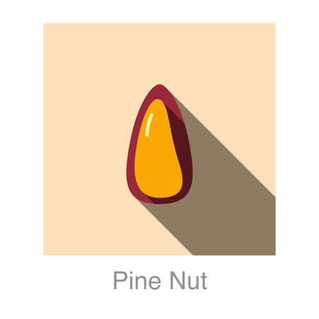 Pine nut flat icon, vector illustrationのイラスト素材
