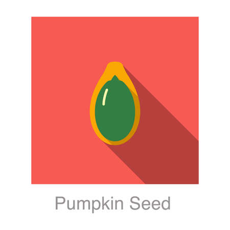 Pumpkin seed flat icon, vector illustrationのイラスト素材