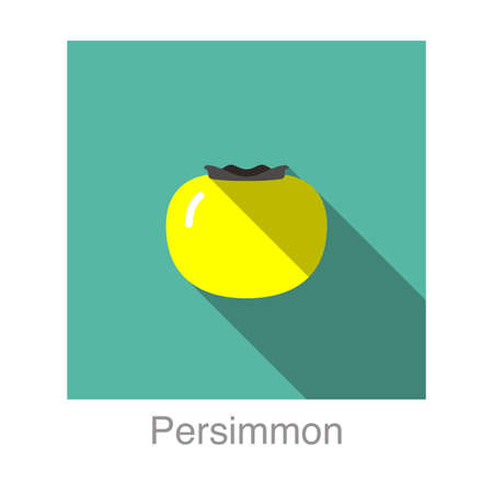 persimmon fruit flat icon, vector illustrationのイラスト素材