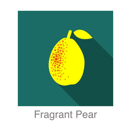 Fragrant pear fruit flat icon, vector illustrationのイラスト素材