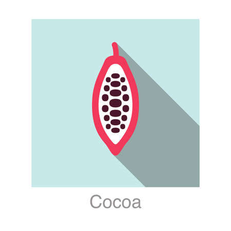 Cocoa fruit flat icon, vector illustrationのイラスト素材