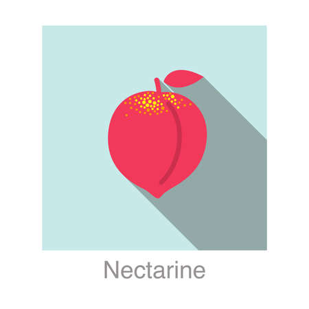 Nectarine fruit flat icon, vector illustrationのイラスト素材
