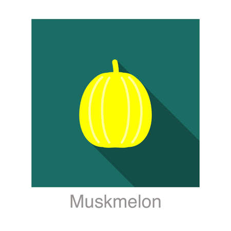 Muskmelon fruit flat icon, vector illustrationのイラスト素材