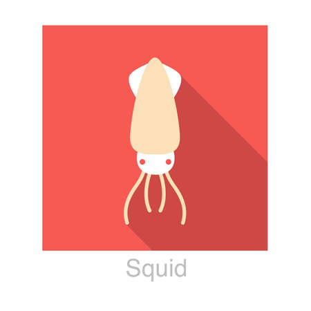 Squid seafood flat icon design vector illustrationのイラスト素材