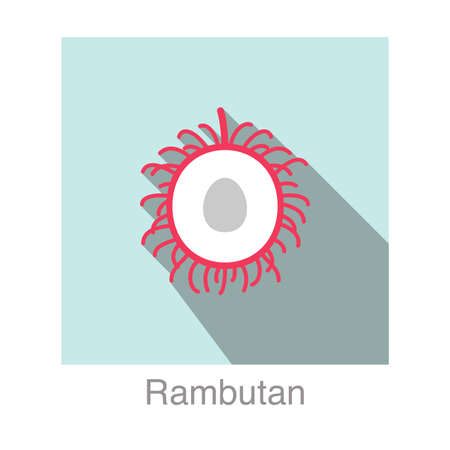 Rambutan fruit flat icon, vector illustrationのイラスト素材