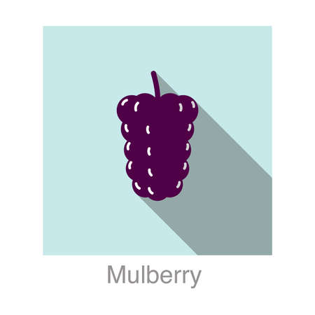 Mulberry fruit flat icon, vector illustrationのイラスト素材