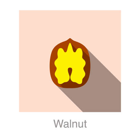 Walnut flat icon, vector illustrationのイラスト素材