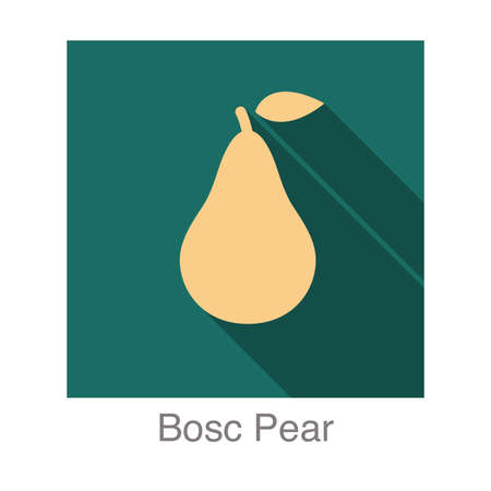Bosc Pear fruit flat icon, vector illustrationのイラスト素材