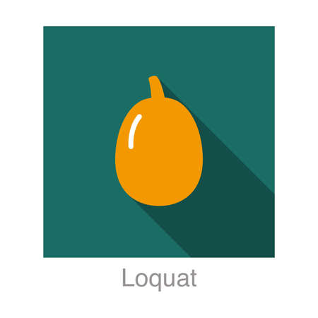 Cherry fruit flat icon, vector illustrationのイラスト素材