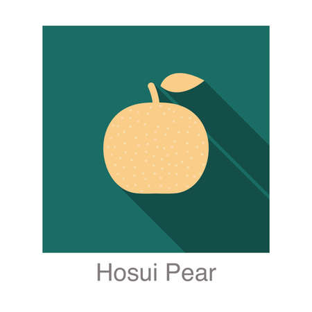 Hosui Pear fruit flat icon, vector illustrationのイラスト素材