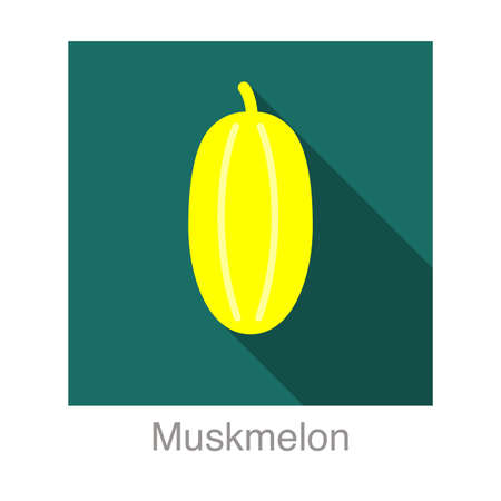 Muskmelon fruit flat icon, vector illustrationのイラスト素材
