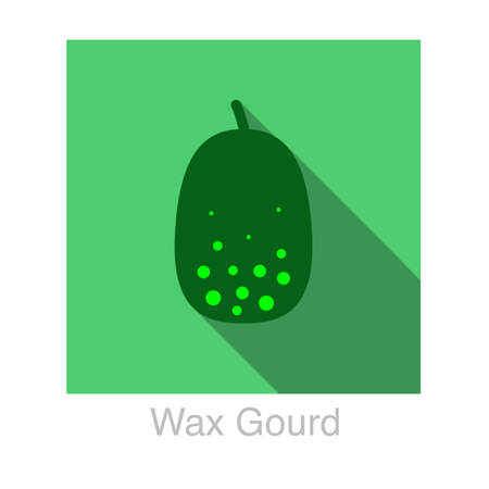 Wax gourd food flat icon design vector illustrationのイラスト素材