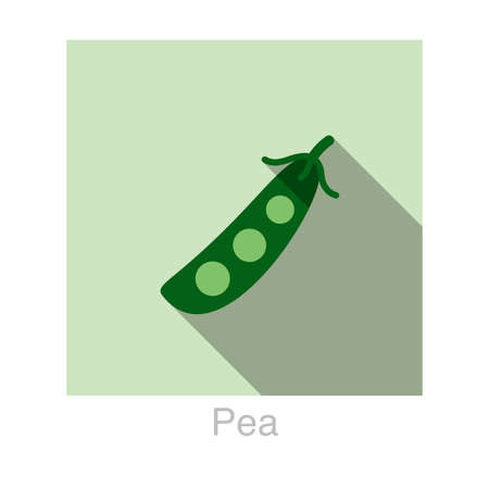 Pea Vegetables food flat icon vector illustrationのイラスト素材