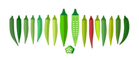 Vegetables okra food flat icon vector illustrationのイラスト素材