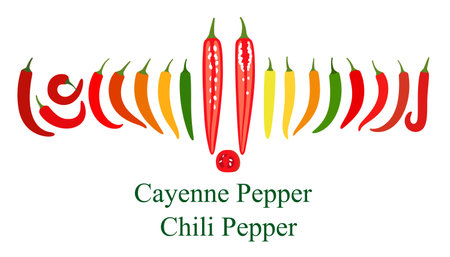 Chili pepper flat icon set, vector illustrationのイラスト素材