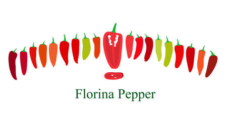 Florina pepper flat icon set vector illustrationのイラスト素材