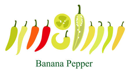 Banana pepper flat icon set, vector illustrationのイラスト素材