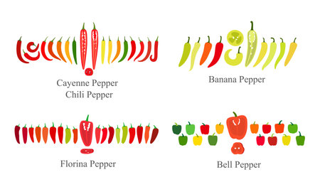 Pepper flat icon set, vector illustrationのイラスト素材