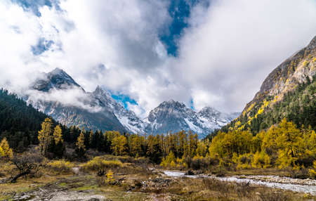 forest and mountain landscapeの写真素材