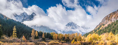 forest and mountain landscapeの写真素材