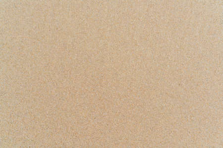 clean sand pattern on the beachの写真素材