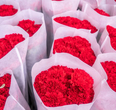Gift of Carnation flowerの写真素材