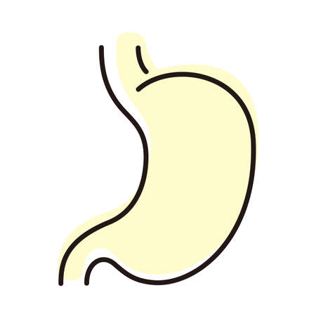 Human organ stomach flat icon, vector illustrationのイラスト素材