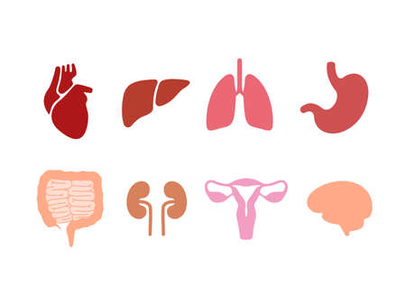 Human organ icon set, vectorのイラスト素材