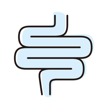 Human organ intestine flat icon, vector illustrationのイラスト素材