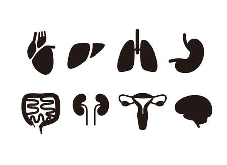 Human organ icon set, vectorのイラスト素材