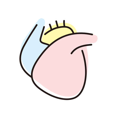 human heart flat icon, vector illustrationのイラスト素材