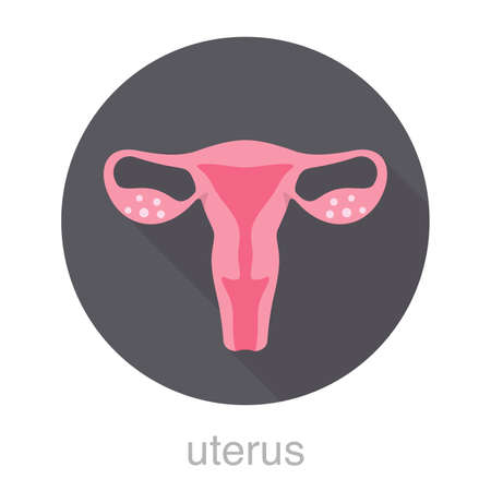 Woman uterus flat design icon, vector illustrationのイラスト素材